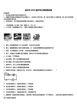 临沂市2024届中考三模物理试题含解析.doc