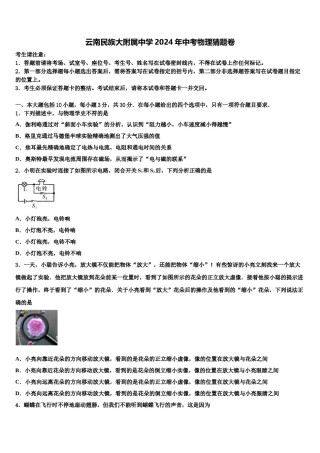 云南民族大附属中学2024年中考物理猜题卷含解析.doc