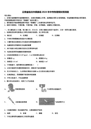 云南省临沧市镇康县2024年中考物理模拟预测题含解析.doc