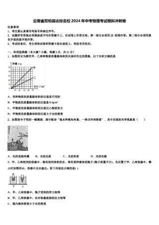 云南省双柏县达标名校2024年中考物理考试模拟冲刺卷含解析.doc