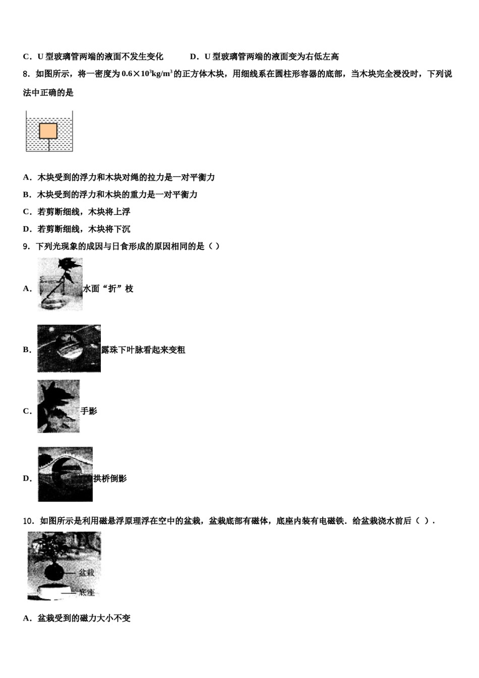 云南省大理州巍山县达标名校2023-2024学年中考物理模试卷含解析.doc_第3页