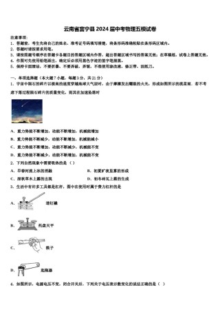 云南省富宁县2024届中考物理五模试卷含解析.doc