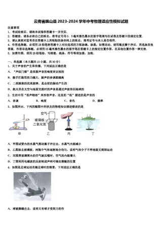 云南省巍山县2023-2024学年中考物理适应性模拟试题含解析.doc