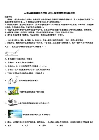 云南省巍山县重点中学2024届中考物理仿真试卷含解析.doc