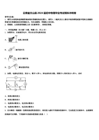 云南省文山县2024届初中物理毕业考试模拟冲刺卷含解析.doc