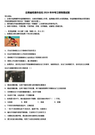 云南省昭通市名校2024年中考三模物理试题含解析.doc