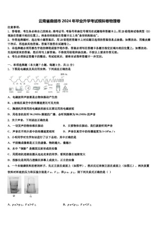云南省曲靖市2024年毕业升学考试模拟卷物理卷含解析.doc