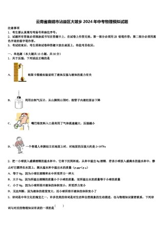 云南省曲靖市沾益区大坡乡2024年中考物理模拟试题含解析.doc