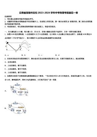 云南省楚雄州名校2023-2024学年中考物理考前最后一卷含解析.doc
