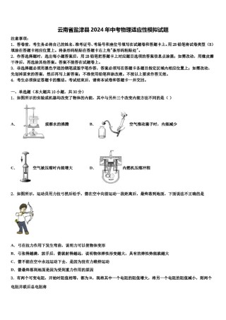 云南省盐津县2024年中考物理适应性模拟试题含解析.doc