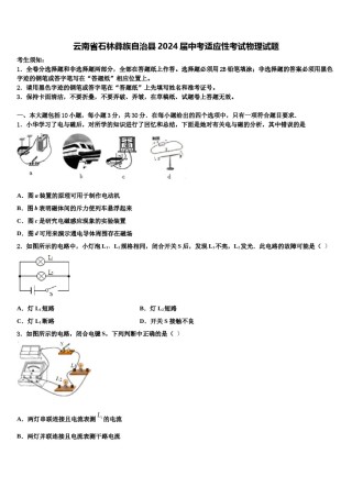 云南省石林彝族自治县2024届中考适应性考试物理试题含解析.doc