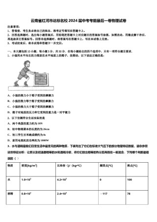 云南省红河市达标名校2024届中考考前最后一卷物理试卷含解析.doc