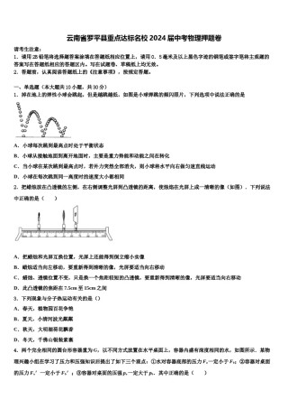 云南省罗平县重点达标名校2024届中考物理押题卷含解析.doc
