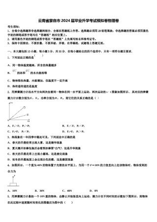 云南省蒙自市2024届毕业升学考试模拟卷物理卷含解析.doc