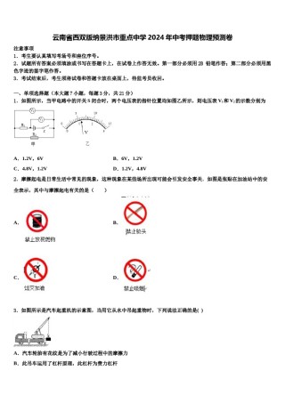 云南省西双版纳景洪市重点中学2024年中考押题物理预测卷含解析.doc