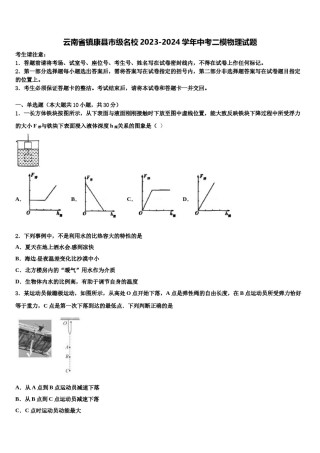 云南省镇康县市级名校2023-2024学年中考二模物理试题含解析.doc