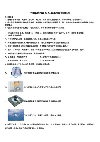 云南省陆良县2024届中考物理猜题卷含解析.doc