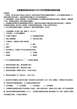 云南省陆良县达标名校2024年中考物理全真模拟试题含解析.doc