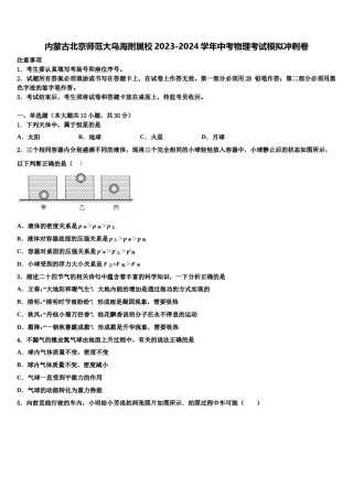 内蒙古北京师范大乌海附属校2023-2024学年中考物理考试模拟冲刺卷含解析.doc