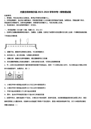 内蒙古和林格尔县2023-2024学年中考一模物理试题含解析.doc