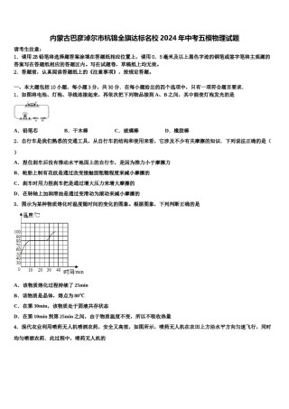 内蒙古巴彦淖尔市杭锦全旗达标名校2024年中考五模物理试题含解析.doc