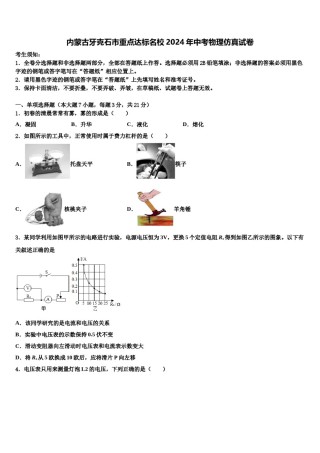 内蒙古牙克石市重点达标名校2024年中考物理仿真试卷含解析.doc