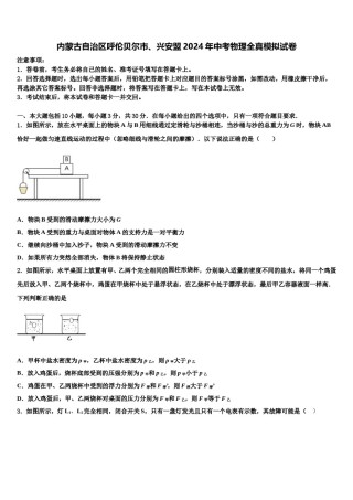 内蒙古自治区呼伦贝尔市、兴安盟2024年中考物理全真模拟试卷含解析.doc