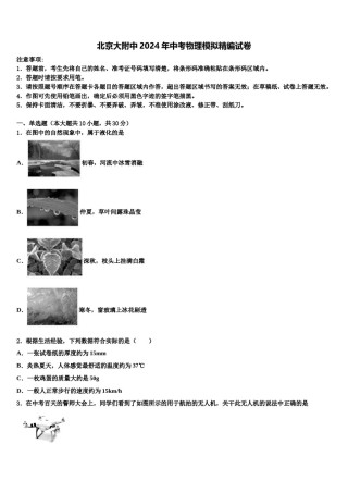 北京大附中2024年中考物理模拟精编试卷含解析.doc