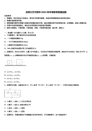 北师大万宁附中2024年中考联考物理试题含解析.doc