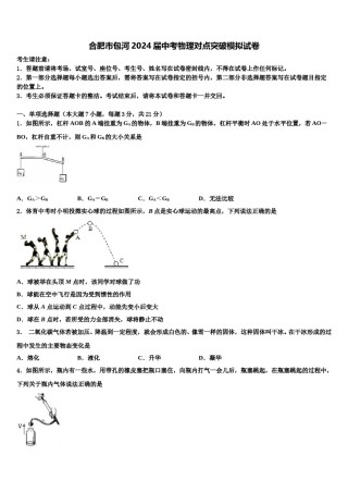 合肥市包河2024届中考物理对点突破模拟试卷含解析.doc
