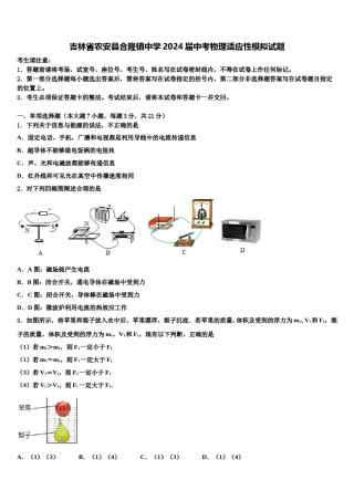 吉林省农安县合隆镇中学2024届中考物理适应性模拟试题含解析.doc