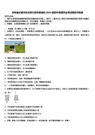 吉林省长春市东北师大附中新城校2024届初中物理毕业考试模拟冲刺卷含解析.doc