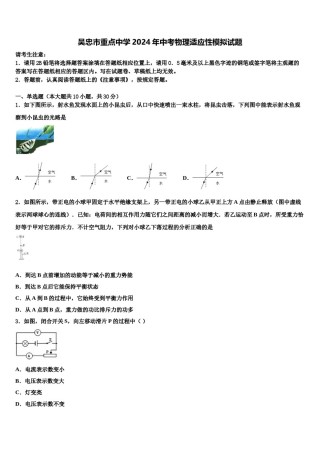 吴忠市重点中学2024年中考物理适应性模拟试题含解析.doc