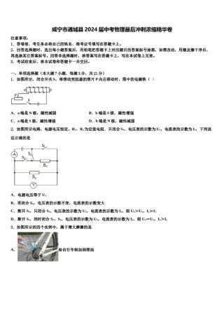 咸宁市通城县2024届中考物理最后冲刺浓缩精华卷含解析.doc