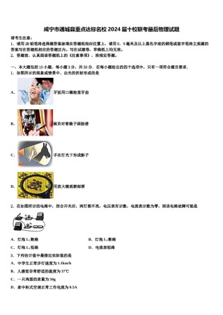 咸宁市通城县重点达标名校2024届十校联考最后物理试题含解析.doc