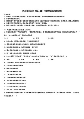 四川省乐山市2024届十校联考最后物理试题含解析.doc