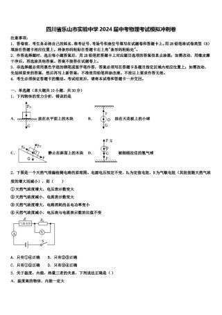 四川省乐山市实验中学2024届中考物理考试模拟冲刺卷含解析.doc