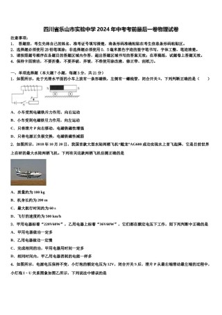 四川省乐山市实验中学2024年中考考前最后一卷物理试卷含解析.doc