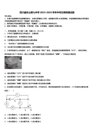 四川省乐山第七中学2023-2024学年中考五模物理试题含解析.doc