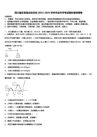 四川省乐至县达标名校2023-2024学年毕业升学考试模拟卷物理卷含解析.doc
