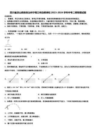 四川省凉山彝族自治州宁南三峡白鹤滩校2023-2024学年中考二模物理试题含解析.doc