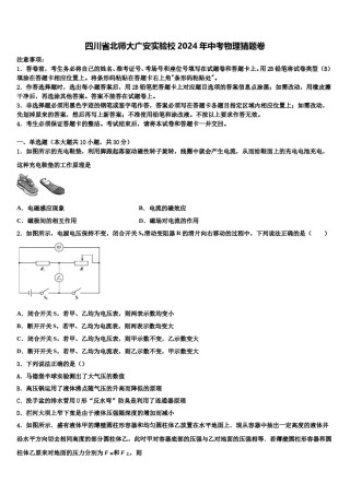 四川省北师大广安实验校2024年中考物理猜题卷含解析.doc