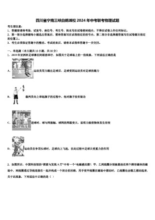 四川省宁南三峡白鹤滩校2024年中考联考物理试题含解析.doc