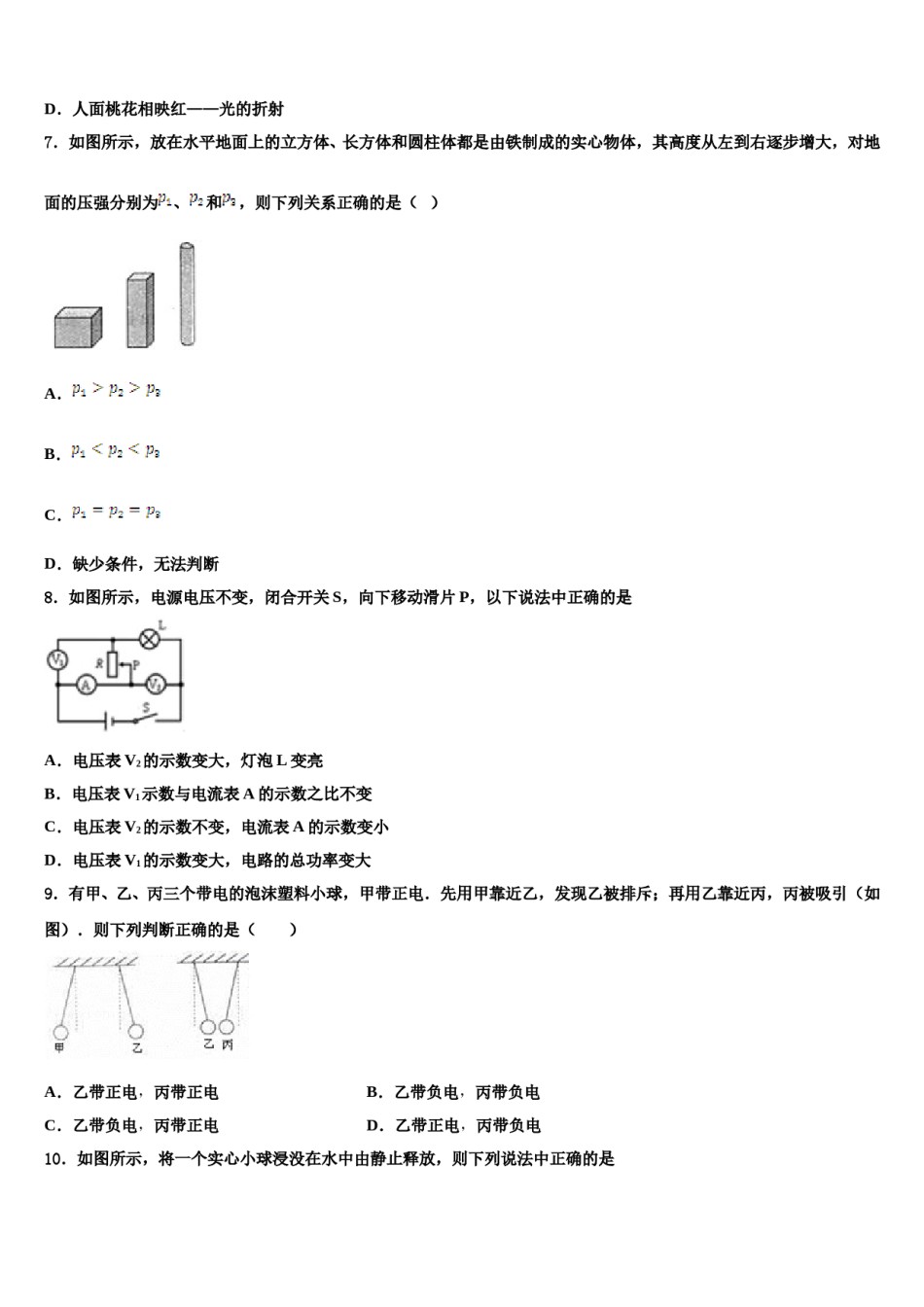 四川省宜宾市南溪区市级名校2024年中考一模物理试题含解析.doc_第2页