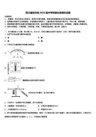 四川省射洪县2024届中考物理全真模拟试题含解析.doc