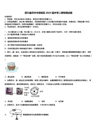 四川省巴中市恩阳区2024届中考二模物理试题含解析.doc