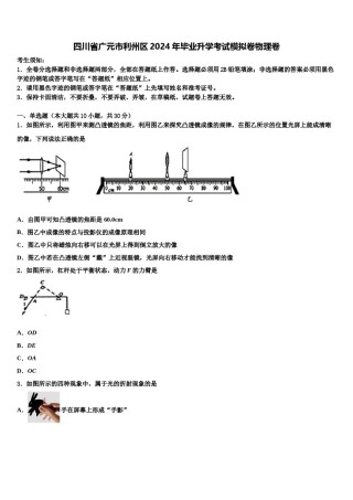 四川省广元市利州区2024年毕业升学考试模拟卷物理卷含解析.doc