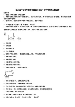 四川省广安市华蓥市市级名校2024年中考物理五模试卷含解析.doc