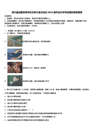 四川省成都实验学校北师大重点名校2024届毕业升学考试模拟卷物理卷含解析.doc