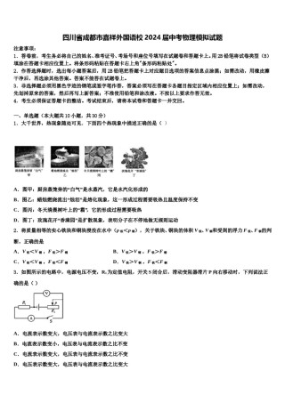 四川省成都市嘉祥外国语校2024届中考物理模拟试题含解析.doc